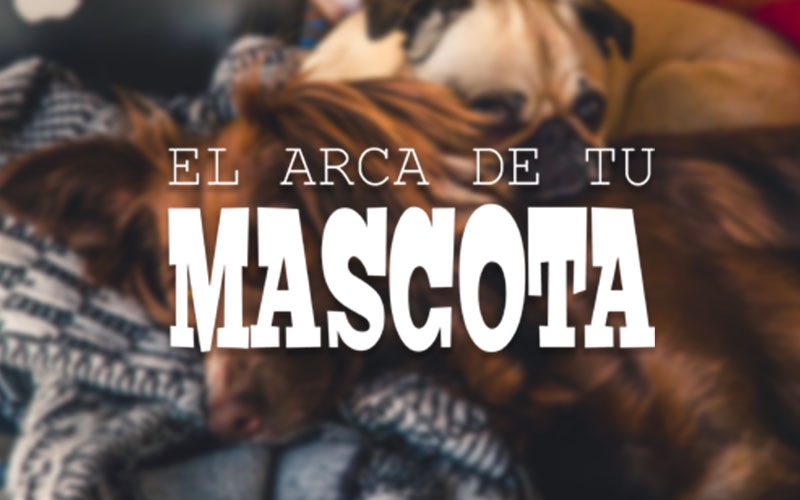 Bienvenidos a nuestra nueva web 