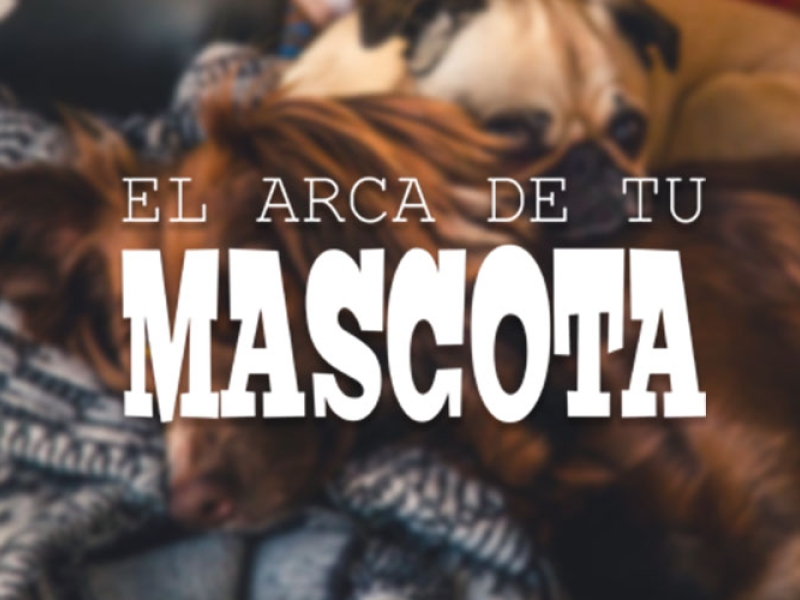 Bienvenidos a nuestra nueva web 