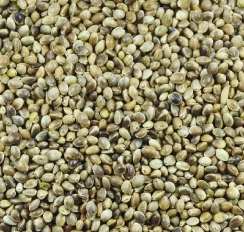 Cañamón pequeño 1Kg 